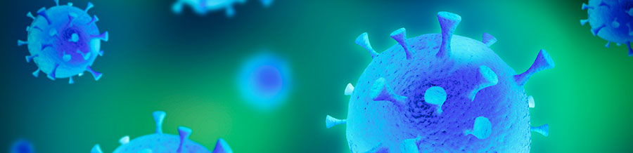 Novel Coronavirus – updates!
